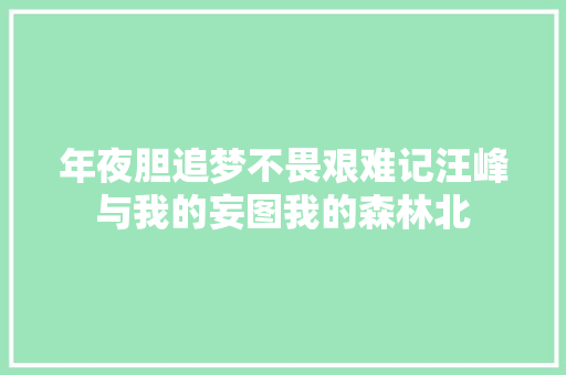 年夜胆追梦不畏艰难记汪峰与我的妄图我的森林北