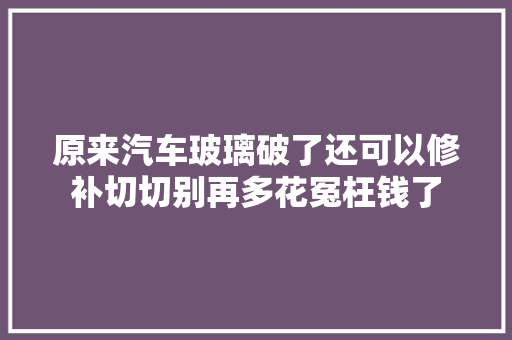 原来汽车玻璃破了还可以修补切切别再多花冤枉钱了