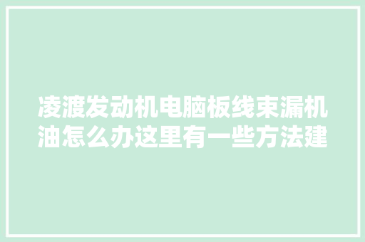 凌渡发动机电脑板线束漏机油怎么办这里有一些方法建议切记