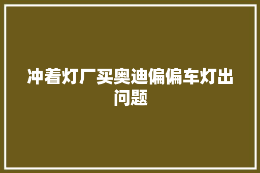 冲着灯厂买奥迪偏偏车灯出问题