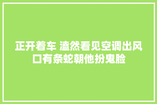 正开着车 溘然看见空调出风口有条蛇朝他扮鬼脸