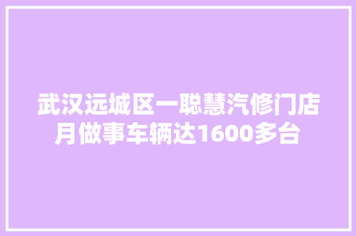 武汉远城区一聪慧汽修门店月做事车辆达1600多台