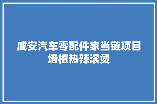 咸安汽车零配件家当链项目培植热辣滚烫