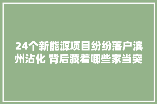 24个新能源项目纷纷落户滨州沾化 背后藏着哪些家当突围密码