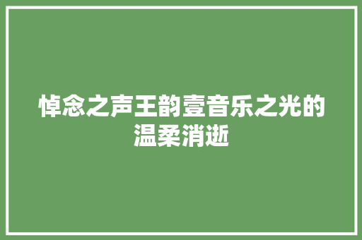 悼念之声王韵壹音乐之光的温柔消逝