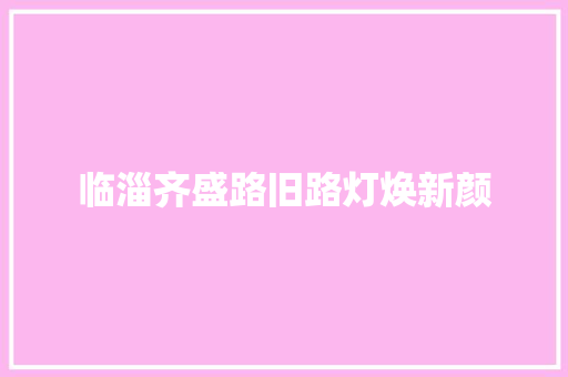 临淄齐盛路旧路灯焕新颜