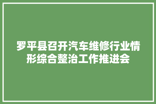 罗平县召开汽车维修行业情形综合整治工作推进会