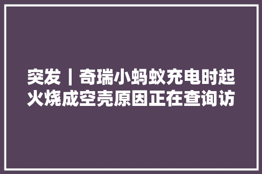 突发｜奇瑞小蚂蚁充电时起火烧成空壳原因正在查询访问中