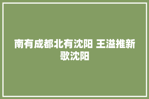 南有成都北有沈阳 王溢推新歌沈阳