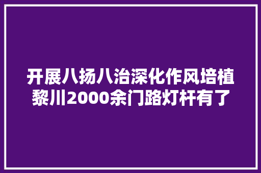 开展八扬八治深化作风培植黎川2000余门路灯杆有了身份证