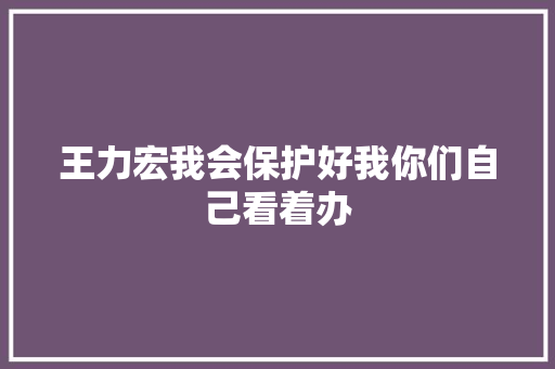 王力宏我会保护好我你们自己看着办