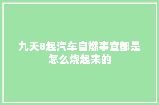 九天8起汽车自燃事宜都是怎么烧起来的 汽车知识