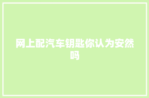 网上配汽车钥匙你认为安然吗 汽车知识