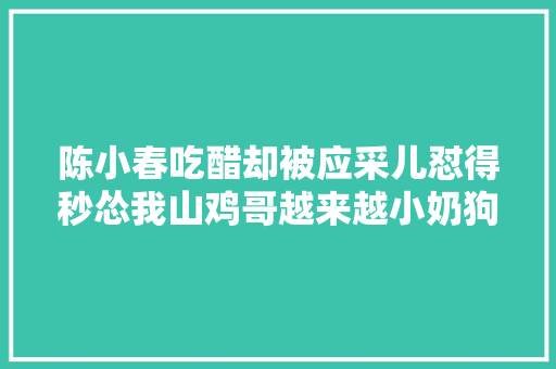 陈小春吃醋却被应采儿怼得秒怂我山鸡哥越来越小奶狗了 休闲娱乐
