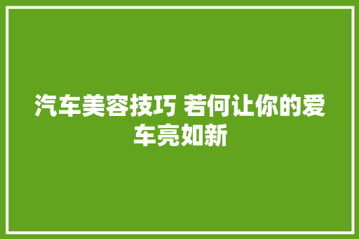 汽车美容技巧 若何让你的爱车亮如新