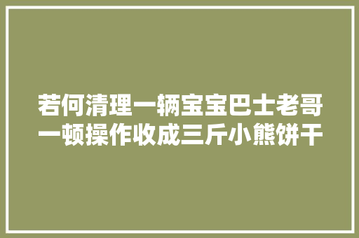 若何清理一辆宝宝巴士老哥一顿操作收成三斤小熊饼干③