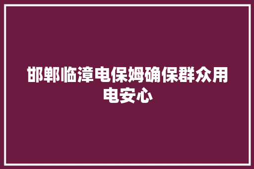 邯郸临漳电保姆确保群众用电安心