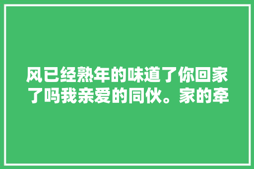 风已经熟年的味道了你回家了吗我亲爱的同伙。家的牵挂 休闲娱乐