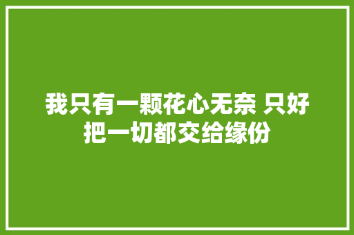 我只有一颗花心无奈 只好把一切都交给缘份