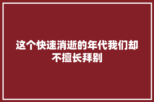 这个快速消逝的年代我们却不擅长拜别