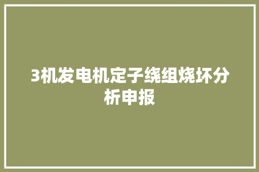 3机发电机定子绕组烧坏分析申报