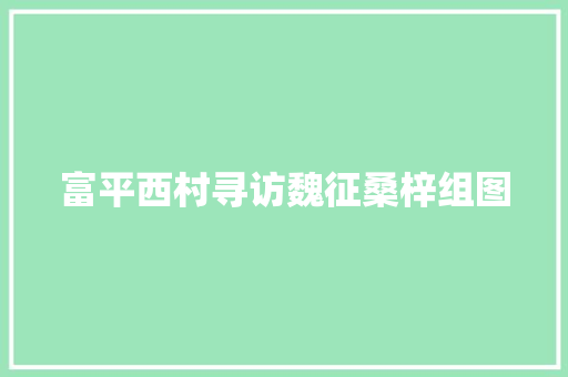 富平西村寻访魏征桑梓组图