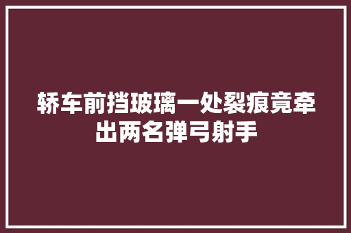 轿车前挡玻璃一处裂痕竟牵出两名弹弓射手