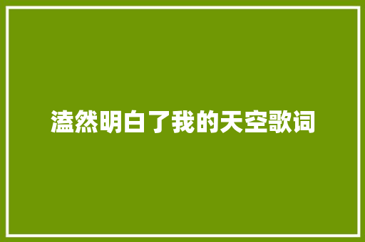 溘然明白了我的天空歌词