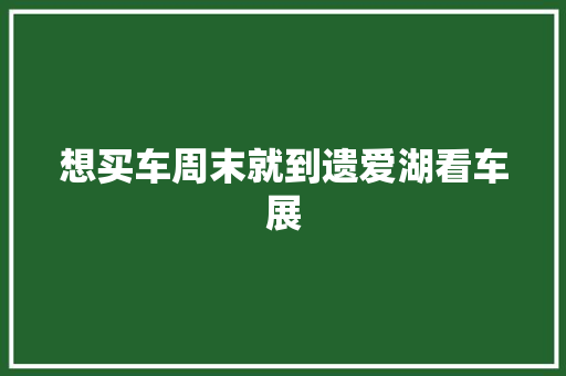 想买车周末就到遗爱湖看车展