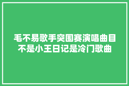 毛不易歌手突围赛演唱曲目不是小王日记是冷门歌曲
