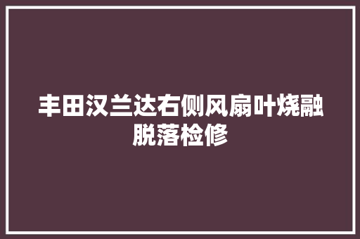 丰田汉兰达右侧风扇叶烧融脱落检修