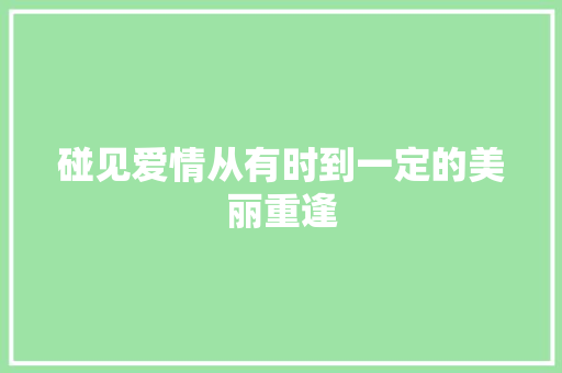 碰见爱情从有时到一定的美丽重逢