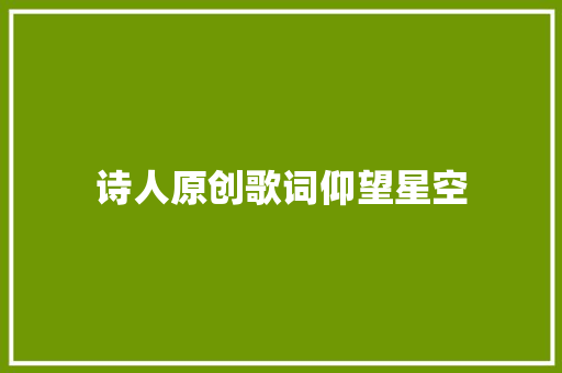 诗人原创歌词仰望星空