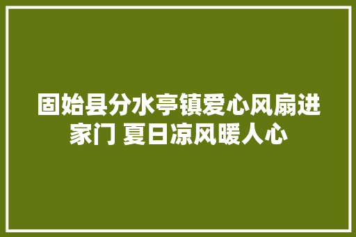 固始县分水亭镇爱心风扇进家门 夏日凉风暖人心