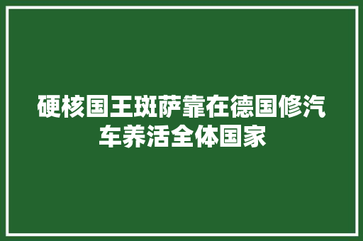 硬核国王斑萨靠在德国修汽车养活全体国家