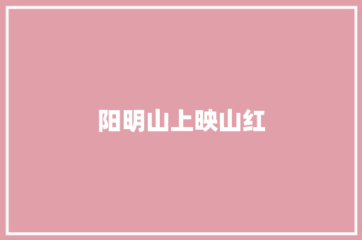 阳明山上映山红