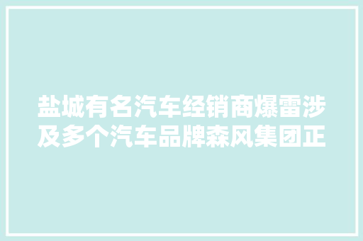 盐城有名汽车经销商爆雷涉及多个汽车品牌森风集团正在积极走出困境