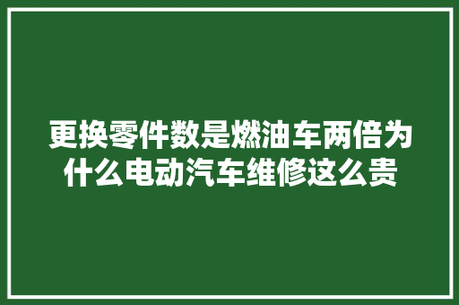 更换零件数是燃油车两倍为什么电动汽车维修这么贵