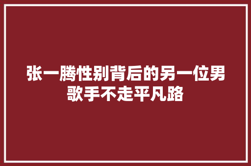 张一腾性别背后的另一位男歌手不走平凡路