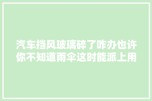 汽车挡风玻璃碎了咋办也许你不知道雨伞这时能派上用途
