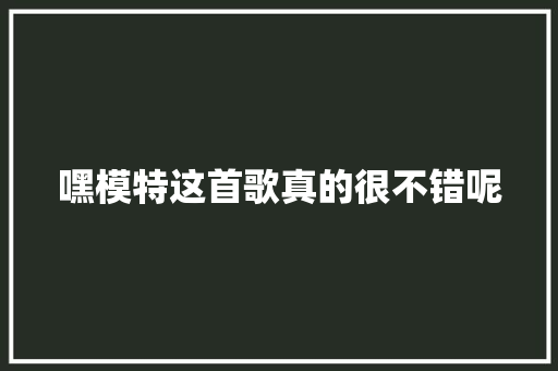 嘿模特这首歌真的很不错呢