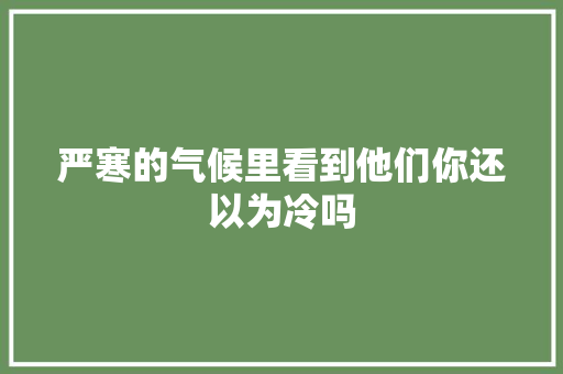 严寒的气候里看到他们你还以为冷吗