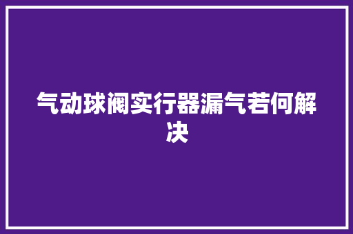 气动球阀实行器漏气若何解决