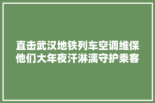 直击武汉地铁列车空调维保他们大年夜汗淋漓守护乘客清凉