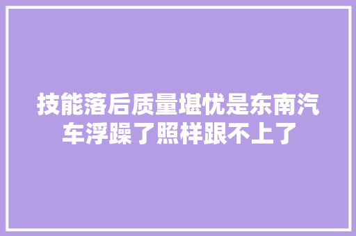 技能落后质量堪忧是东南汽车浮躁了照样跟不上了