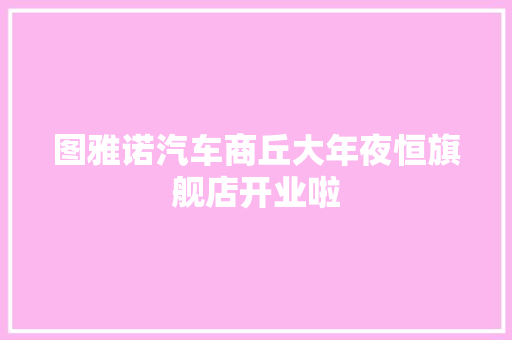 图雅诺汽车商丘大年夜恒旗舰店开业啦