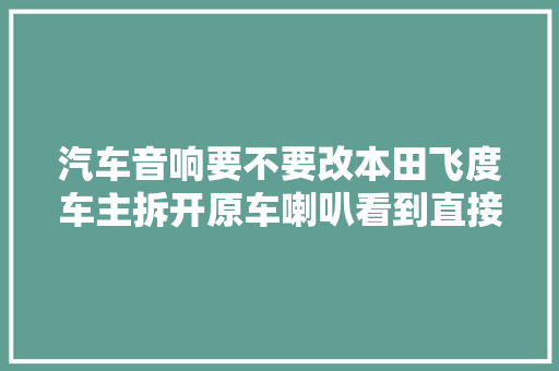 汽车音响要不要改本田飞度车主拆开原车喇叭看到直接想扔了 汽车知识