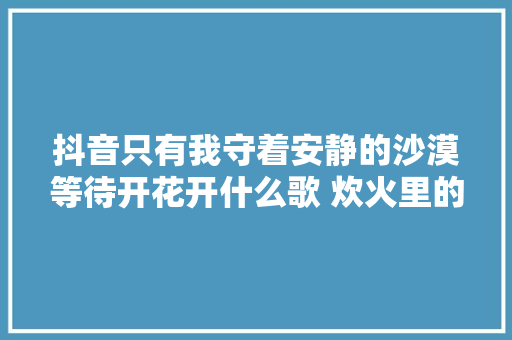 抖音只有我守着安静的沙漠等待开花开什么歌 炊火里的尘埃歌词