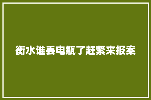 衡水谁丢电瓶了赶紧来报案
