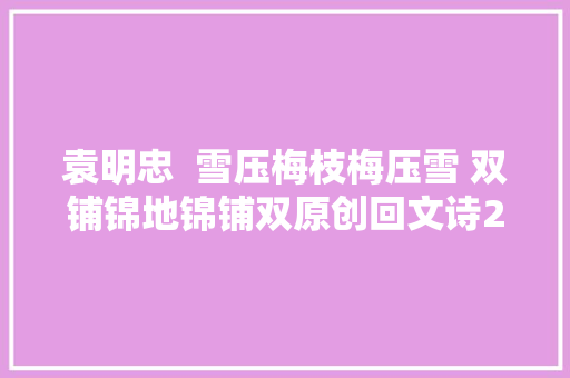 袁明忠  雪压梅枝梅压雪 双铺锦地锦铺双原创回文诗20组